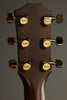 Taylor 50th Anniversary 314ce LTD Acoustic Electric Guitar - New