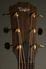 Taylor Guitars 50th Anniversary AD14ce-SB LTD Acoustic Electric Guitar New