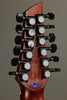 Veillette Avante Gryphon 12-String Acoustic Electric Guitar New