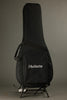 Veillette Avante Gryphon 12-String Acoustic Electric Guitar New