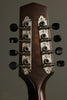 Northfield Mandolins NFM-M5 The Quickstep Mandola - New