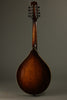 Northfield Mandolins NFM-M5 The Quickstep Mandola - New