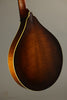 Northfield Mandolins NFM-M5 The Quickstep Mandola - New