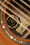 Taylor 50th Anniversary Builder’s Edition 814ce LTD Acoustic Electric Guitar - New