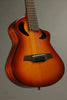 Veillette Avante Gryphon 12-String Acoustic Guitar Tobacco Burst - New