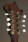 Eastman MDA315 Mandola - New