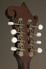 Eastman MDA315 Mandola - New