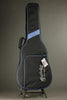 Martin D-X2E Brazilian 12 String Acoustic Guitar - New