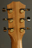 Taylor Guitars 50th Anniversary GS Mini-e Rosewood SB LTD Acoustic Electric Guitar - New
