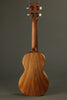 Martin C1K Concert Ukulele - New