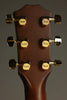 Taylor Guitars 50th Anniversary 314ce LTD Acoustic Electric Guitar - New