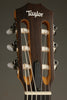 Taylor Academy 12e-N Nylon String Acoustic Electric Guitar - New