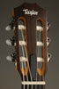 Taylor Academy 12e-N Nylon String Acoustic Electric Guitar - New