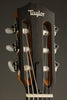 Taylor 214ce-N Acoustic Electric Nylon String Guitar - New