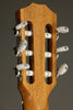 Taylor 214ce-N Acoustic Electric Nylon String Guitar - New