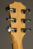Taylor GS Mini-e Special Edition Dragon Acoustic Electric Guitar - New
