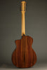 Taylor Guitars 254ce Plus Acoustic Electric 12-String Guitar - New