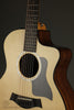 Taylor Guitars 254ce Plus Acoustic Electric 12-String Guitar - New