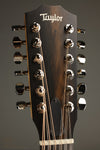 Taylor Guitars 254ce Plus Acoustic Electric 12-String Guitar - New