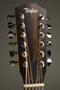 Taylor Guitars 254ce Plus Acoustic Electric 12-String Guitar - New