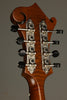 Northfield NFS-F2WN S Series Mandolin - New