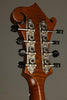 Northfield NFS-F2WN S Series Mandolin - New