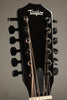 Taylor 250ce-BLK Plus 12-String Acoustic Guitar - New