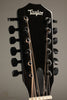 Taylor 250ce-BLK Plus 12-String Acoustic Guitar - New