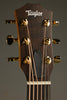 Taylor 50th Anniversary GS Mini-e Rosewood SB LTD Acoustic Electric Guitar - New