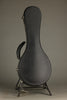 Collings MT Gloss Top Mandolin - New