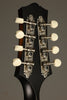 Collings MT Gloss Top Mandolin - New