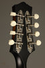 Collings MT Gloss Top Mandolin - New