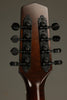 Northfield EleOcto NFO-EL1 Electric Octave Mandolin - New