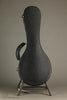 Collings MT Gloss Top w/ Pickguard Mandolin - New