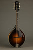 Collings MT Gloss Top w/ Pickguard Mandolin - New