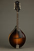 Collings MT Gloss Top w/ Pickguard Mandolin - New