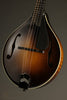 Collings MT Gloss Top w/ Pickguard Mandolin - New