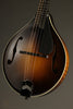 Collings MT Gloss Top w/ Pickguard Mandolin - New