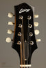Collings MT Gloss Top w/ Pickguard Mandolin - New