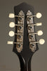 Collings MT Gloss Top w/ Pickguard Mandolin - New