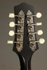 Collings MT Gloss Top w/ Pickguard Mandolin - New