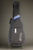 Martin D-X2E Brazilian 12 String Acoustic Guitar - New