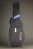 Martin D-X2E Brazilian 12 String Acoustic Guitar - New