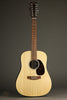 Martin D-X2E Brazilian 12 String Acoustic Guitar - New