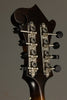 Northfield S Series NFS-F5 Mandolin - New