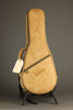 Kentucky KM-505 Mandolin - New
