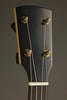 Rickard Maple Ridge 11" Five String Banjo - New