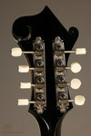 2024 Collings MF5 Mandolin - Used