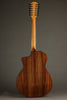 Taylor 254ce Plus 12-String Acoustic Electric Guitar - New