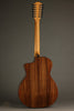 Taylor 254ce Plus 12-String Acoustic Electric Guitar - New